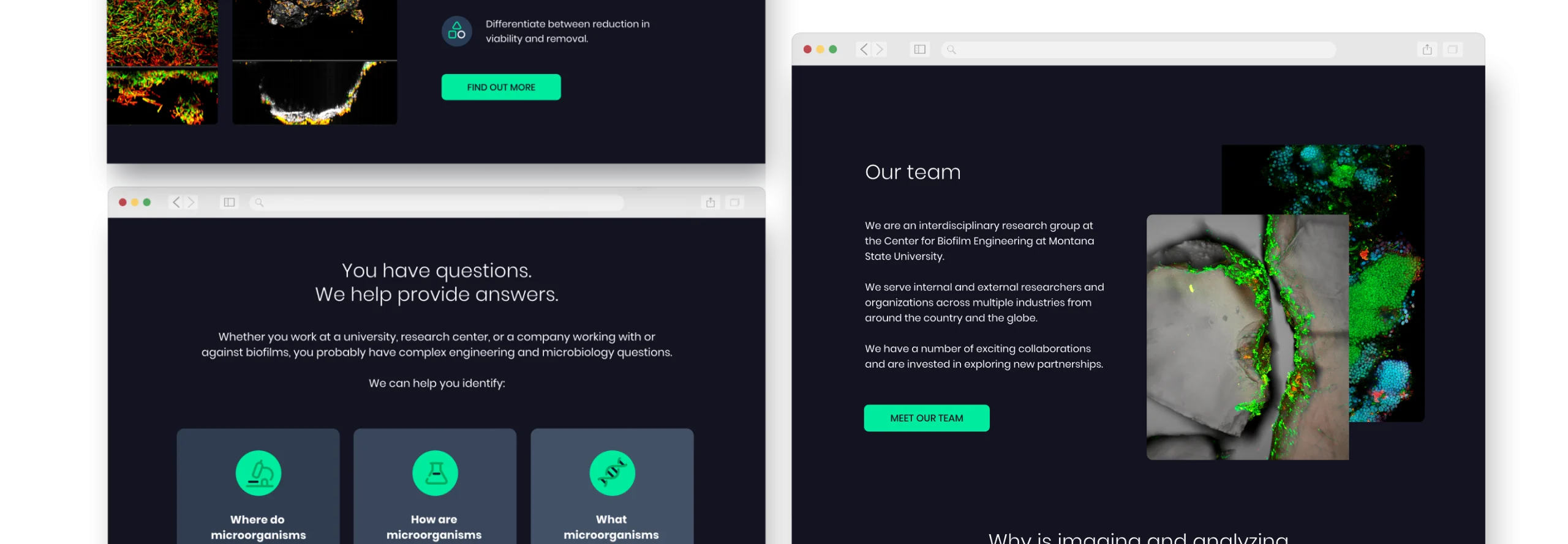 biofilm-cs-website-screenshot-composition-horizontal biofilm-cs-website-screenshot-composition-horizontal